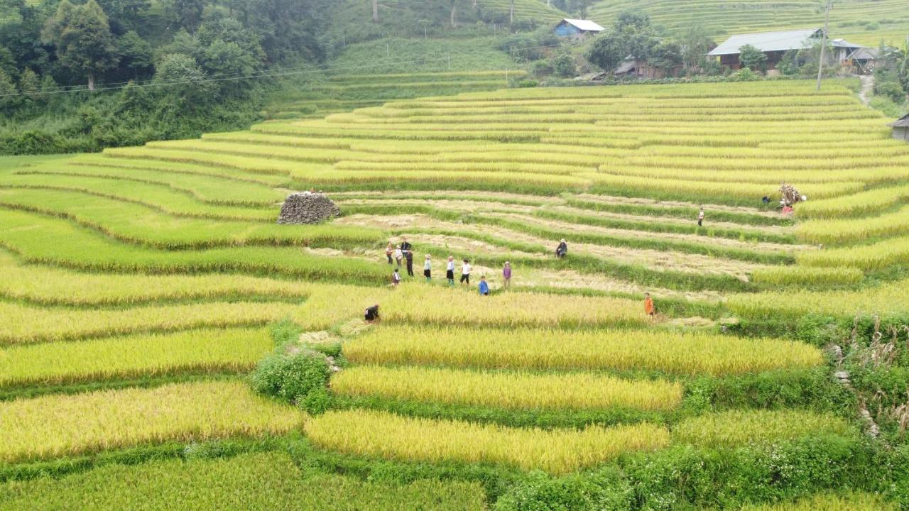 May Homestay Sapa Exterior photo